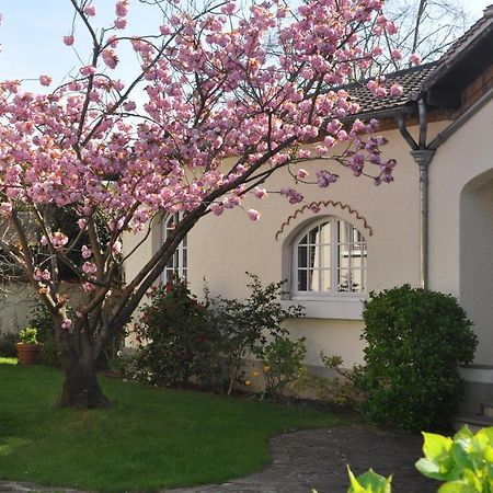 Maison D'Hotes Paris Riverside Сен-Мор-де-Фоссе Экстерьер фото